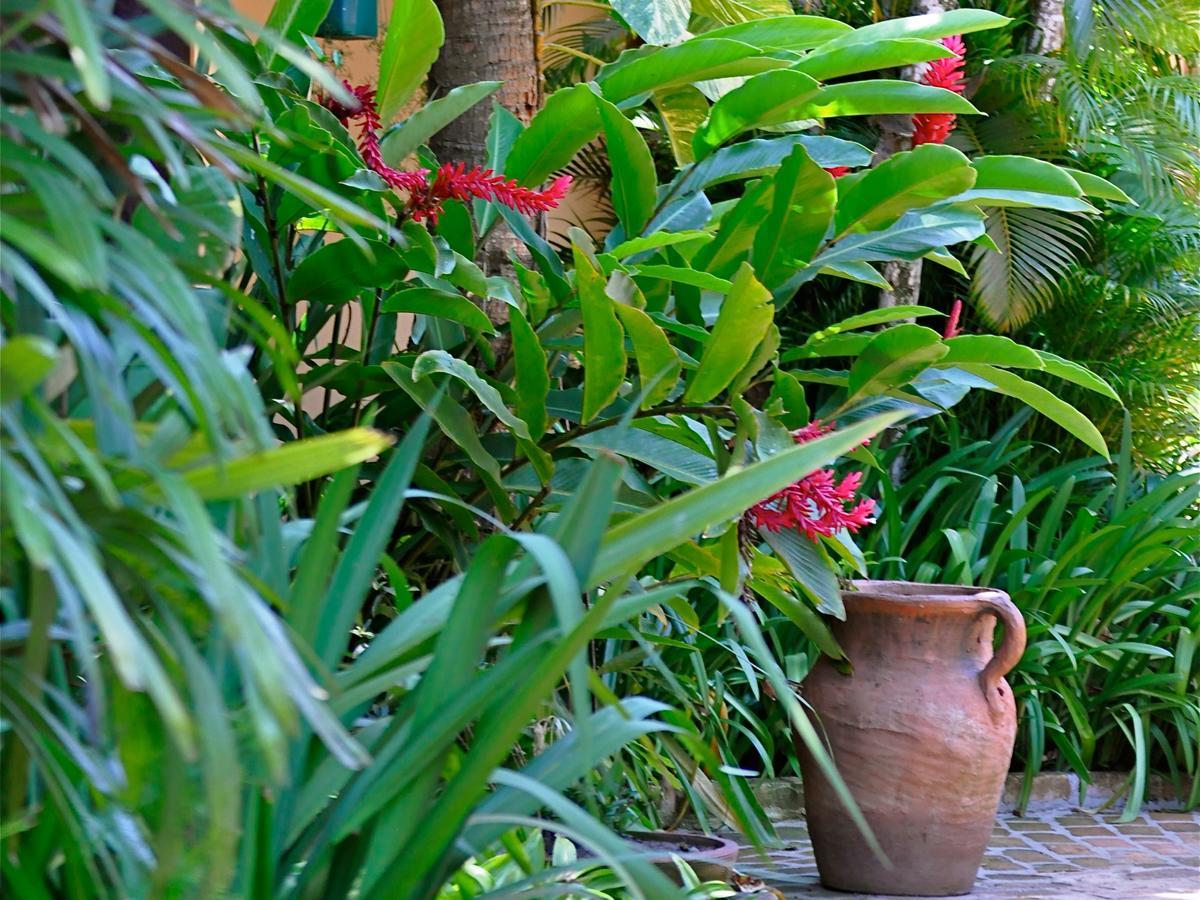 Pousada Fragata - Arraial D Ajuda - Melhor Localizacao E Atendimento Arraial d'Ajuda Ngoại thất bức ảnh